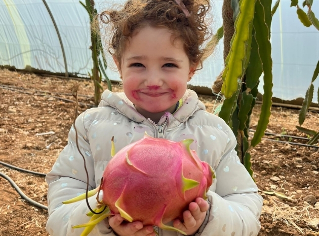 Dragon Fruit Farm Establishment