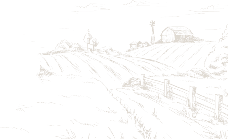 house-mountain